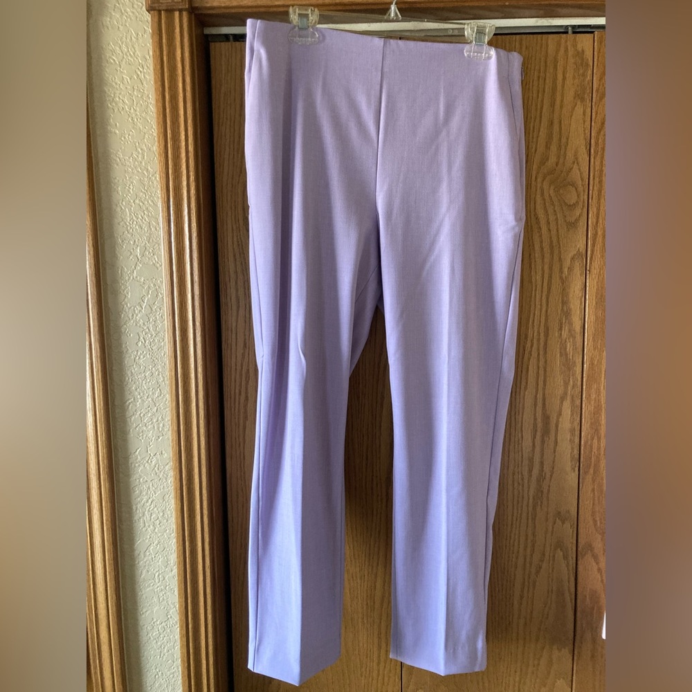Ann Taylor Violet Skinny Slacks